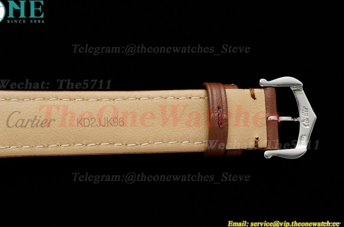 Dumont Dial Brown Silver Santos SS AF LE Quartz 0402